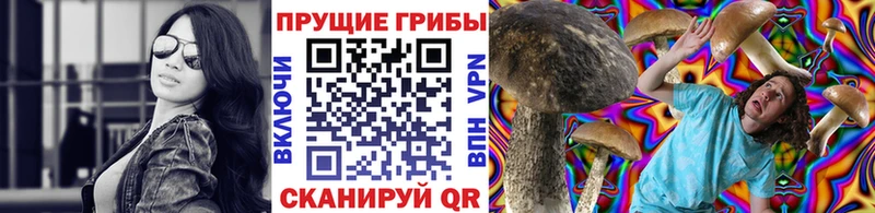 Псилоцибиновые грибы мицелий  мориарти какой сайт  Саров  где можно купить  