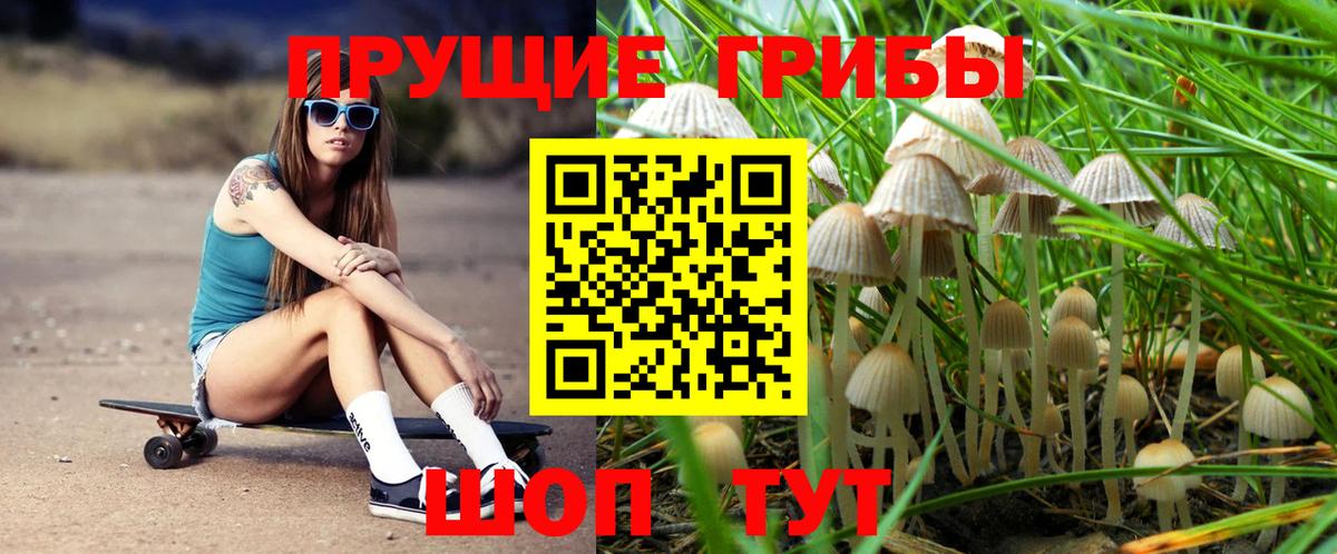 Саров  Галлюциногенные грибы MAGIC MUSHROOMS  Вход с VPN 
