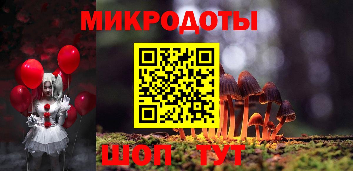 Галлюциногенные грибы Psilocybine cubensis Саров
